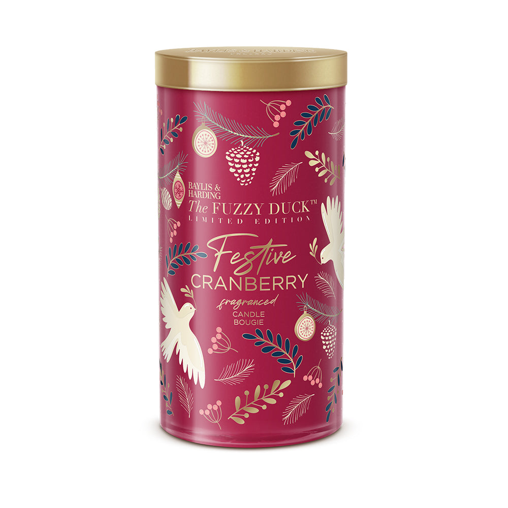 Winter Wonderland - Festive Fragrances Festive Cranberry Candle Gift
